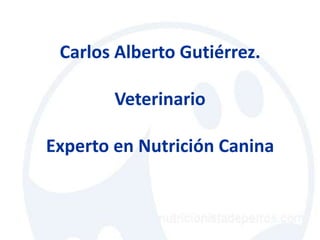 Carlos Alberto Gutiérrez.

        Veterinario

Experto en Nutrición Canina
 