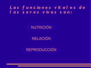 Las funciones vitales de los seres vivos son: NUTRICIÓN RELACIÓN REPRODUCCIÓN