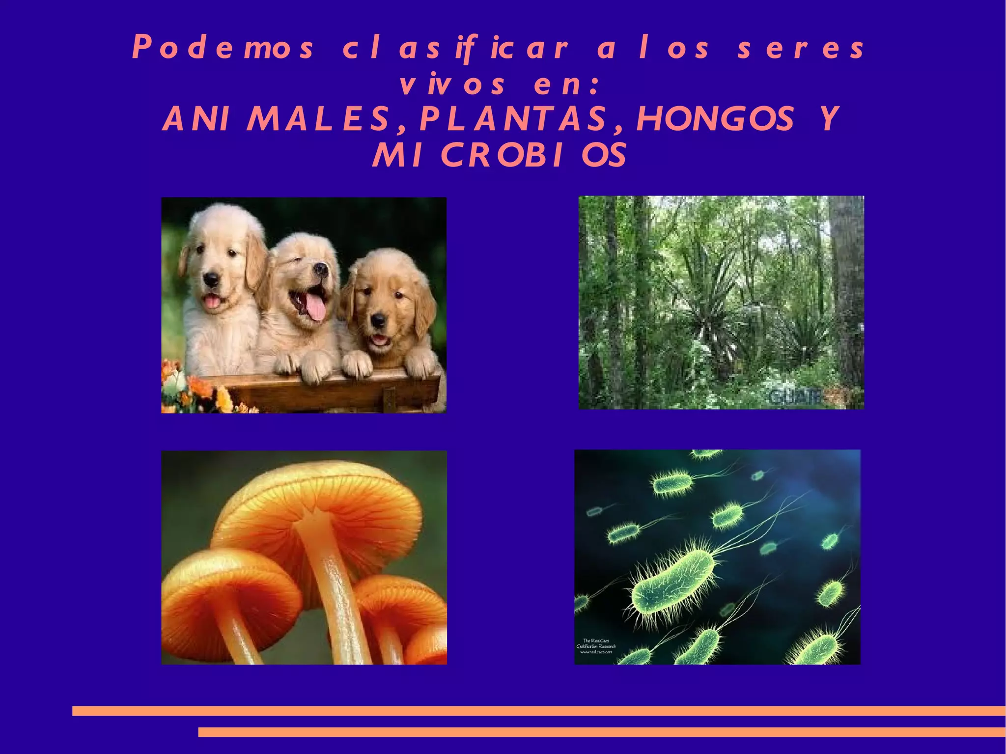 Podemos clasificar a los seres vivos en:  ANIMALES, PLANTAS, HONGOS Y MICROBIOS 