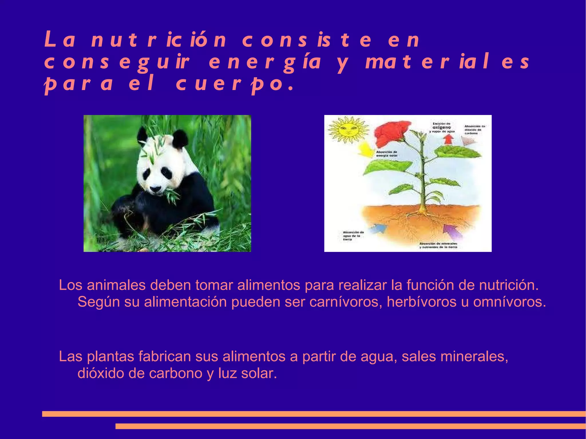 La nutrición consiste en conseguir energía y materiales para el cuerpo. Los animales deben tomar alimentos para realizar la función de nutrición. Según su alimentación pueden ser carnívoros, herbívoros u omnívoros. Las plantas fabrican sus alimentos a partir de agua, sales minerales, dióxido de carbono y luz solar.  