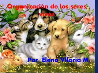 Organización de los seres
vivos
Por: Elena Viloria M.
 