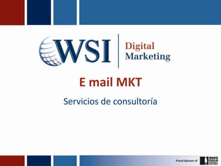 E mail MKT Servicios de consultoría 