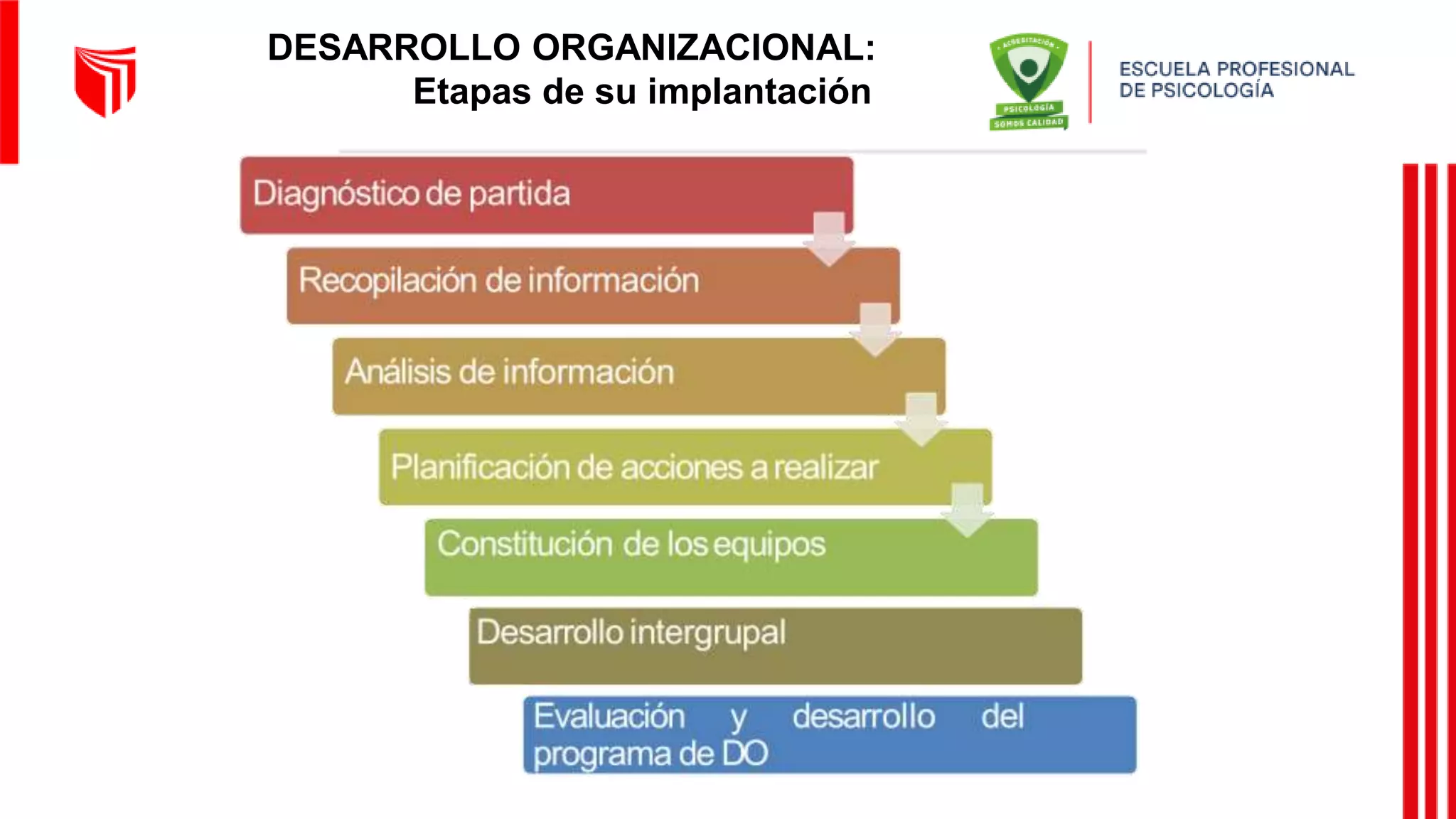 Fases del proceso de Desarrollo Organizacional | PPTX | Business ...