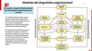 Fases del proceso de Desarrollo Organizacional | PPTX