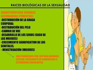 RAICES BIOLÓGICAS DE LA SEXUALIDAD CARACTERÍSTICAS SEXUALES SECUNDARIAS (PUBERTAD): DISTRIBUCIÓN DE LA GRASA CORPORAL DISTRIBUCIÓN DEL PELO CAMBIO DE VOZ DESARROLLO DE LOS SENOS (CASO DE LAS MUJERES) CRECIMIENTO SIGNIFICATIVO DE LOS GENITALES.  MENSTRUACIÓN (MUJERES) SON PRODUCIDOS POR: SISTEMA NERVIOSO CENTRAL, INCREMENTO DE ANDROGENOS O ESTRÓGENOS CIRCULANTES 
