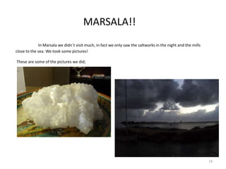 14
MARSALA!!
In Marsala we didn´t visit much, in fact we only saw the saltworks in the night and the mills
close to the sea. We took some pictures!
These are some of the pictures we did;
 