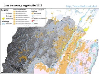 Usos de suelo y vegetación 2017 http://www.biodiversity.bz/
 