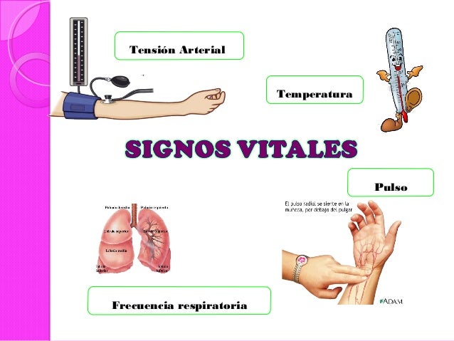 Signos vitales