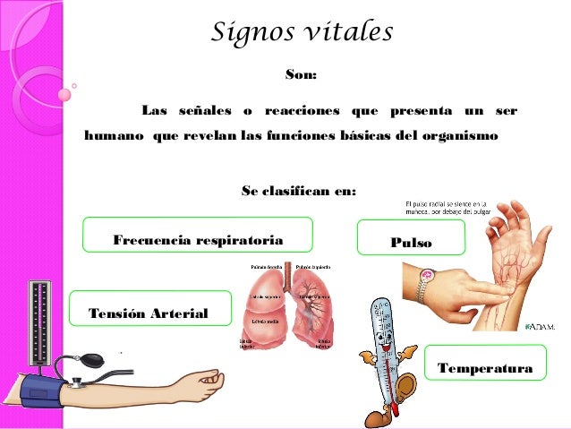 Signos vitales