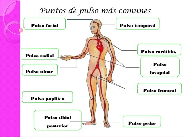 Signos vitales