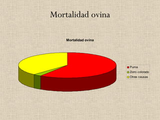 Mortalidad ovina 