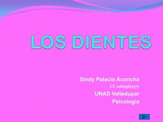 Sindy Palacio Aconcha
CC:1065569377

UNAD Valledupar
Psicología
1

 