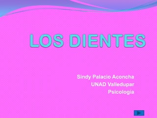 Sindy Palacio Aconcha
UNAD Valledupar
Psicología

1

 