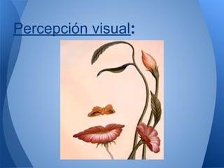 Percepción visual: