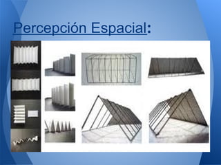 Percepción Espacial: