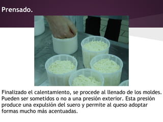 Prensado.




Finalizado el calentamiento, se procede al llenado de los moldes.
Pueden ser sometidos o no a una presión exterior. Esta presión
produce una expulsión del suero y permite al queso adoptar
formas mucho más acentuadas.
 