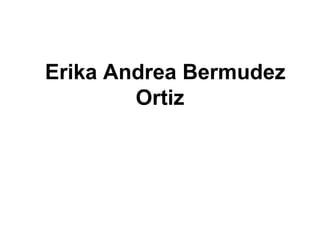 Erika Andrea Bermudez
Ortiz
 