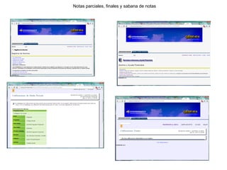 Notas parciales, finales y sabana de notas
 