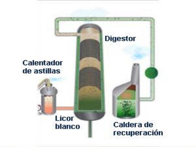 Proceso Productivo Papel