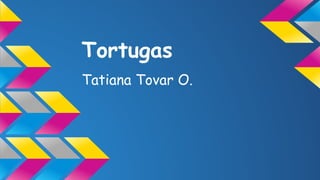 Tortugas
Tatiana Tovar O.

 