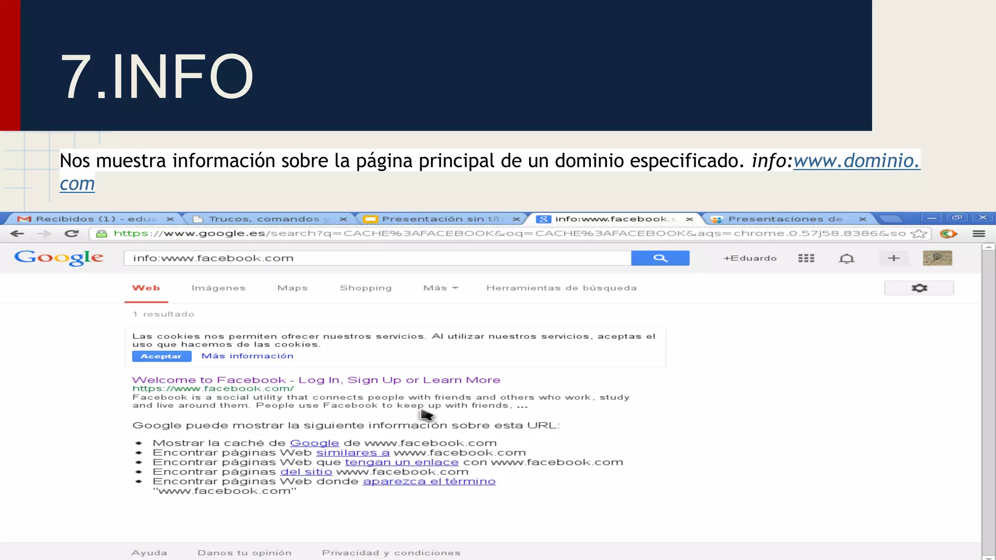 7.INFO
Nos muestra información sobre la página principal de un dominio especificado. info:www.dominio.
com

 