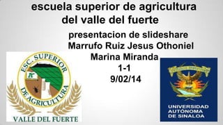 escuela superior de agricultura
del valle del fuerte
presentacion de slideshare
Marrufo Ruiz Jesus Othoniel
Marina Miranda
1-1
9/02/14

 