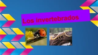 Los invertebrados
5
 