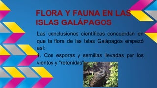 FLORA Y FAUNA EN LAS
ISLAS GALÁPAGOS
Las conclusiones científicas concuerdan en
que la flora de las Islas Galápagos empezó
así:
1. Con esporas y semillas llevadas por los
vientos y "retenidas"
 