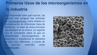 Utilidad de los microorganismos en la industria alimenticia | PPTX