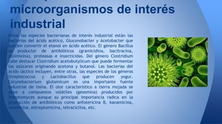Utilidad de los microorganismos en la industria alimenticia | PPTX