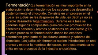 Fermentación:La fermentación es muy importante en la
elaboración y determinación de los sabores que desarrollará
posteriormente el chocolate. Consiste en un proceso en el
que a las judías se les desprovee de vida, es decir ya no es
posible desarrollar lagerminación. Durante esta fase se
generan algunos compuestos químicos que promueven los
diferentes sabores y aromas posteriores del chocolate.2 Es
en este proceso de fermentación donde los expertos
determinan gran parte de los futuros aromas y sabores de
chocolate. Las judías sin fermentar suelen introducirse en una
prensa y extraer la manteca del cacao, pero esta manteca no
entra en los procesos de la industria chocolatera.
 