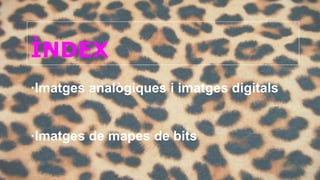ÌNDEX 
·Imatges analògiques i imatges digitals 
·Imatges de mapes de bits 
 