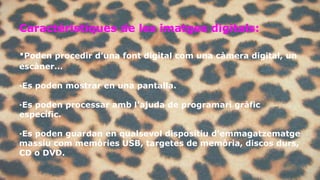 Caractéristiques de les imatges digitals: 
·Poden procedir d’una font digital com una càmera digital, un 
escàner… 
·Es poden mostrar en una pantalla. 
·Es poden processar amb l’ajuda de programari gràfic 
específic. 
·Es poden guardan en qualsevol dispositiu d’emmagatzematge 
massiu com memòries USB, targetes de memòria, discos durs, 
CD o DVD. 
 