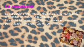 La resolució 
La resolució d’una imatge digital es la concentració, 
o densitat de punts, o píxels, que té. 
La resolució d’una imatge se sol mesurar, els píxels 
per polzada, en algun cas en centímetres. 
 