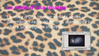 La mida d’una imatge 
La mida d’una imatge són les seves 
dimensions reals en termes d’amplada i 
altura una vegada impresa. 
 