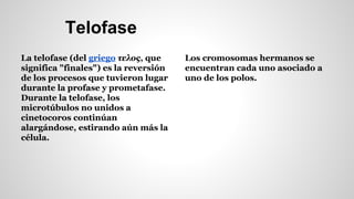 Telofase 
La telofase (del griego τελος, que 
significa "finales") es la reversión 
de los procesos que tuvieron lugar 
durante la profase y prometafase. 
Durante la telofase, los 
microtúbulos no unidos a 
cinetocoros continúan 
alargándose, estirando aún más la 
célula. 
Los cromosomas hermanos se 
encuentran cada uno asociado a 
uno de los polos. 
 