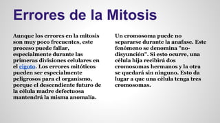 Errores de la Mitosis 
Aunque los errores en la mitosis 
son muy poco frecuentes, este 
proceso puede fallar, 
especialmente durante las 
primeras divisiones celulares en 
el cigoto. Los errores mitóticos 
pueden ser especialmente 
peligrosos para el organismo, 
porque el descendiente futuro de 
la célula madre defectuosa 
mantendrá la misma anomalía. 
Un cromosoma puede no 
separarse durante la anafase. Este 
fenómeno se denomina "no-disyunción". 
Si esto ocurre, una 
célula hija recibirá dos 
cromosomas hermanos y la otra 
se quedará sin ninguno. Esto da 
lugar a que una célula tenga tres 
cromosomas. 
 
