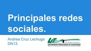 Principales redes 
sociales. 
Andrea Cruz Lechuga 
DN13 
 