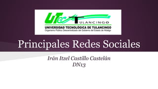 Principales Redes Sociales 
Irán Itzel Castillo Castelán 
DN13 
 