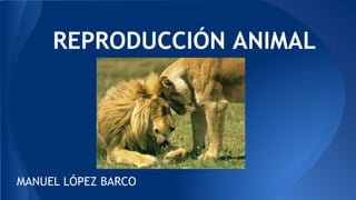 REPRODUCCIÓN ANIMAL
MANUEL LÓPEZ BARCO
 