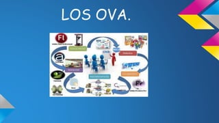 LOS OVA.
 