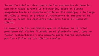 Secreción tubular: Gran parte de las sustancias de desecho
son eliminadas durante la filtración, desde el plasma
sanguíneo hacia el espacio urinífero. Sin embargo, a lo largo
del túbulo renal se produce el transporte de sustancias de
desecho, desde los capilares tubulares hacia el lumen del
túbulo.
La mayoría de las sustancias que se eliminan en la orina
provienen del fluido filtrado en el glomérulo renal (que no
fueron reabsorbidas) y una pequeña parte fueron secretadas
por las células de los túbulos renales.
 