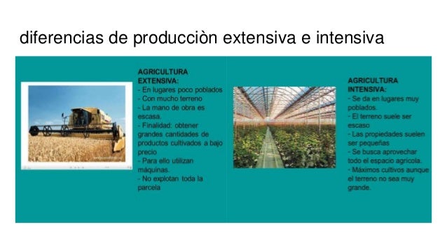 Geopolitica de los alimentos en America