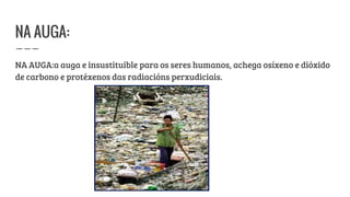 NA AUGA:
NA AUGA:a auga e insustituible para os seres humanos, achega osíxeno e dióxido
de carbono e protéxenos das radiacións perxudiciais.
 
