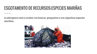 ESGOTAMENTO DE RECURSOS:ESPECIES MARIÑAS
A sobrepesca está a acabar cos bancos pesqueiros e con algunhas especies
mariñas.
 