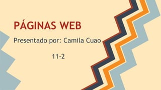 PÁGINAS WEB
Presentado por: Camila Cuao
11-2
 