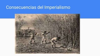 Consecuencias del Imperialismo
 
