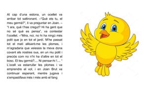 Al cap d’una estona, un ocellet va
arribar tot saltironant. –“Què ets tu, el
meu germà?”, li va preguntar en Joan. –
“I ara, què t’has cregut? Hi ha gent que
no sé què es pensa”, va contestar
l’ocellet. –“Mira, noi, no hi ha ningú més
polit que jo en tot el jardí. M’he passat
tot el matí allisant-me les plomes, i
m’agradaria que veiessis la meva dona
covant els nostres ous, en un niu polit i
preciós com no n’hi ha d’altre en tot el
bosc. El teu germà?.... Ni pensar-hi !.... “
L’ocell va estarrufar les plomes i va
emprendre el vol, i en Joan Brut va
continuar esperant, mentre jugava i
s’empastifava més i més amb el fang
 