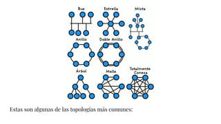 Estas son algunas de las topologías más comunes:
 