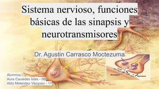 Sistema nervioso, funciones
básicas de las sinapsis y
neurotransmisores
Dr. Agustin Carrasco Moctezuma
Alumnos:
Aura Caviedes Islas - 9B
Aldo Melendez Vazquez - 17
 